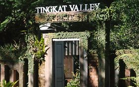 Tingkat Valley